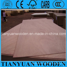 Okume Commercial Plywood / Furniture, Decorative Construction y Packing Plywood